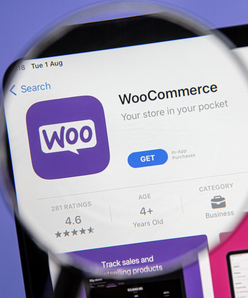 seo-para-wocommerce-01 seo-para-wocommerce-01